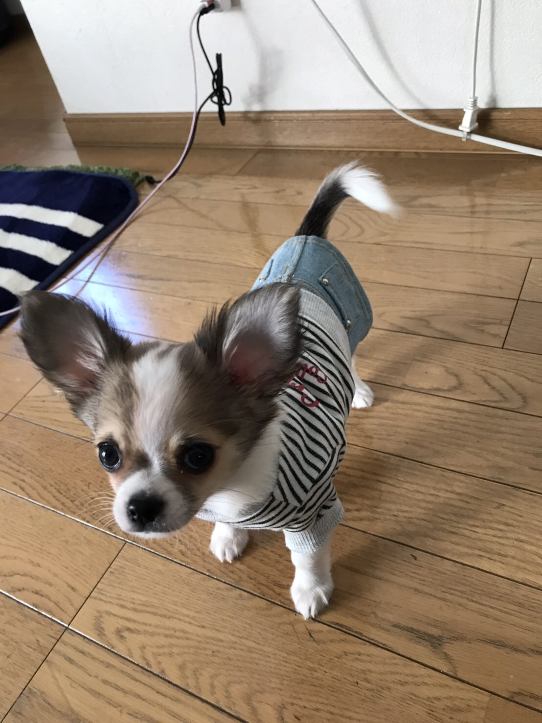 Ｍｙ　Ｆａｖｏｒｉｔｅ　Ｔｈｉｎｇｓ